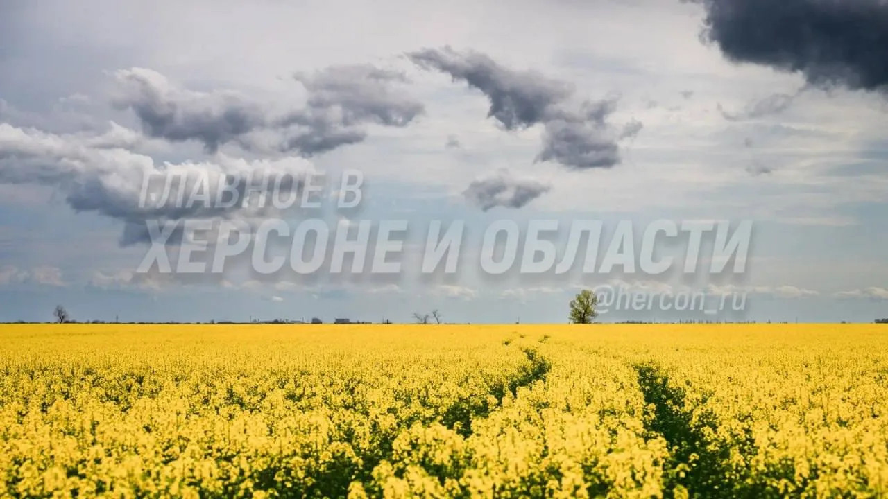 Тихий вечер под бескрайним небом