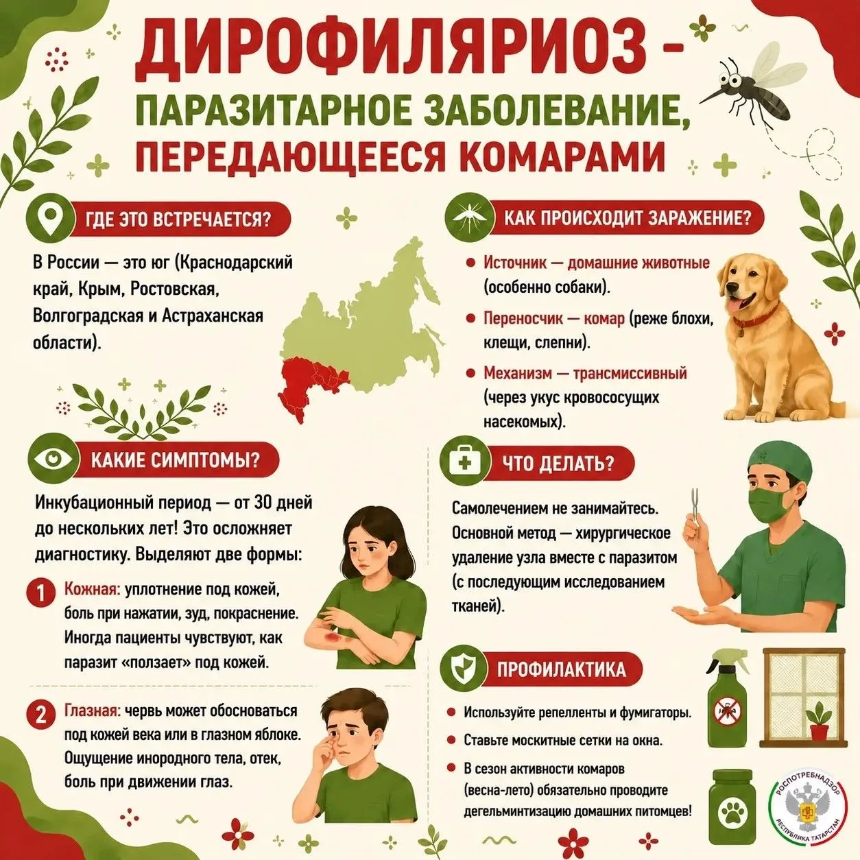 🦟 Дирофиляриоз – паразитарное заболевание из группы филяриозов, вызываемое круглыми червями Dirofil