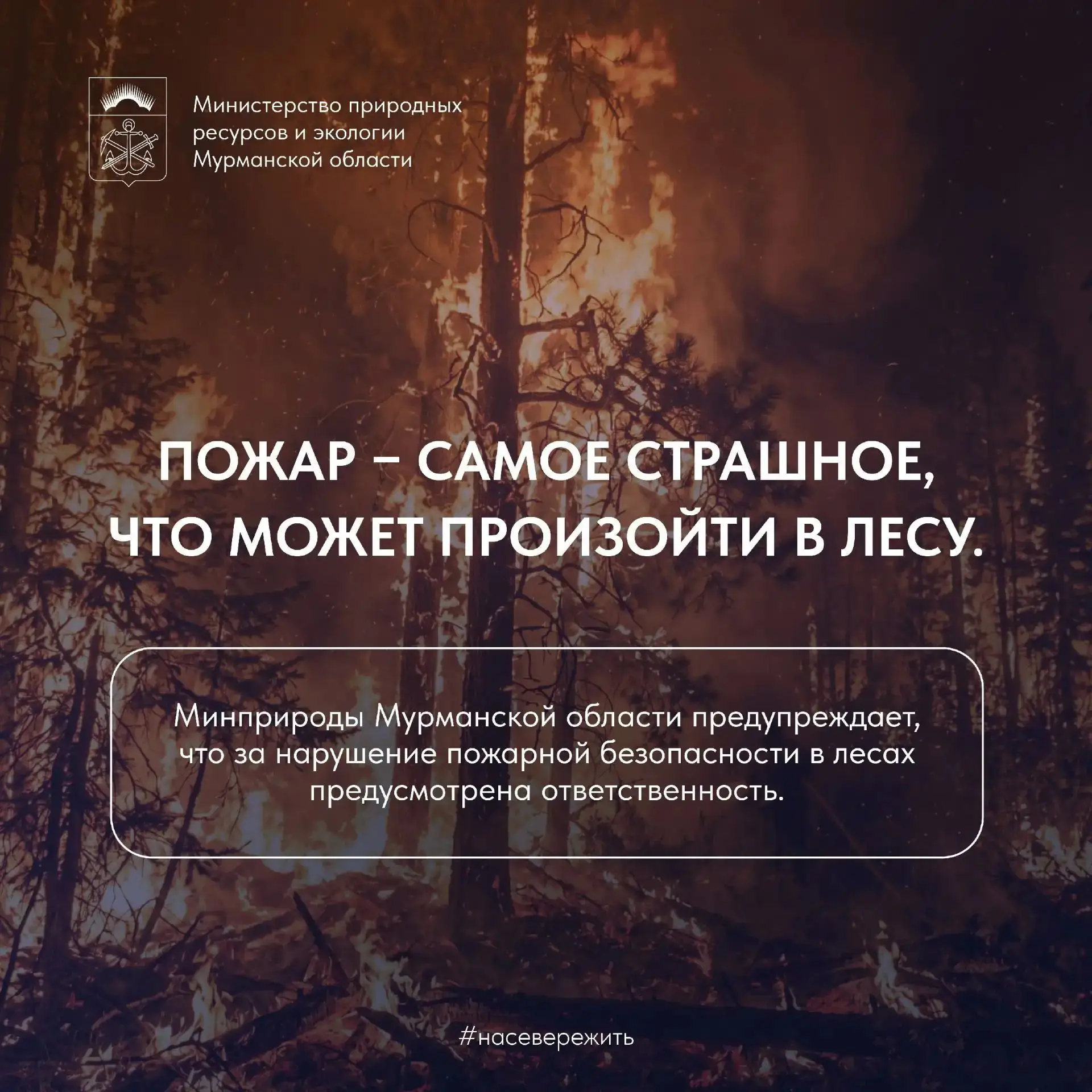 🔥 Стать причиной лесного пожара легко, потушить пламя – очень трудно

В регионе установилась тёплая
