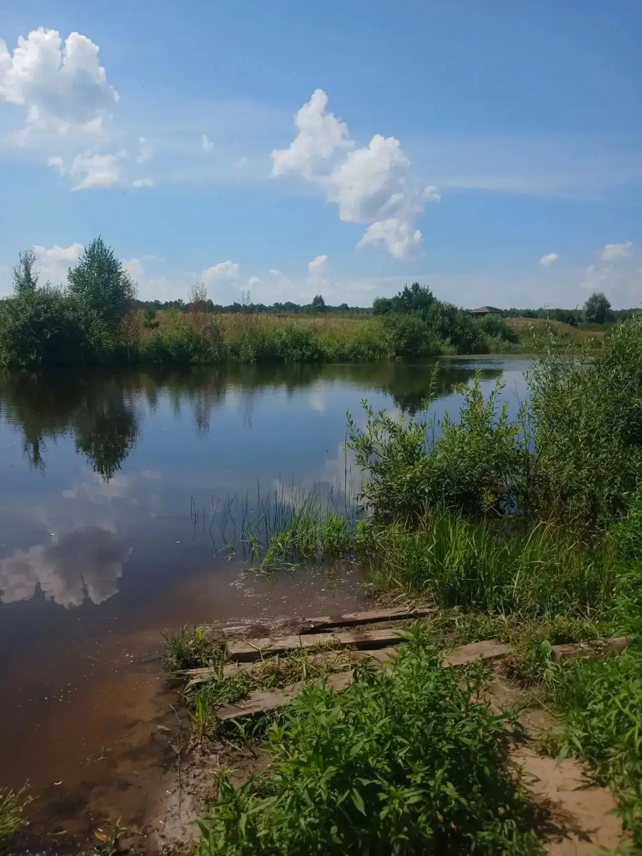 👮‍♂️ Школьный патруль: безопасность детей — в приоритете! 👮‍♀️

Лето — время отдыха и приключений,