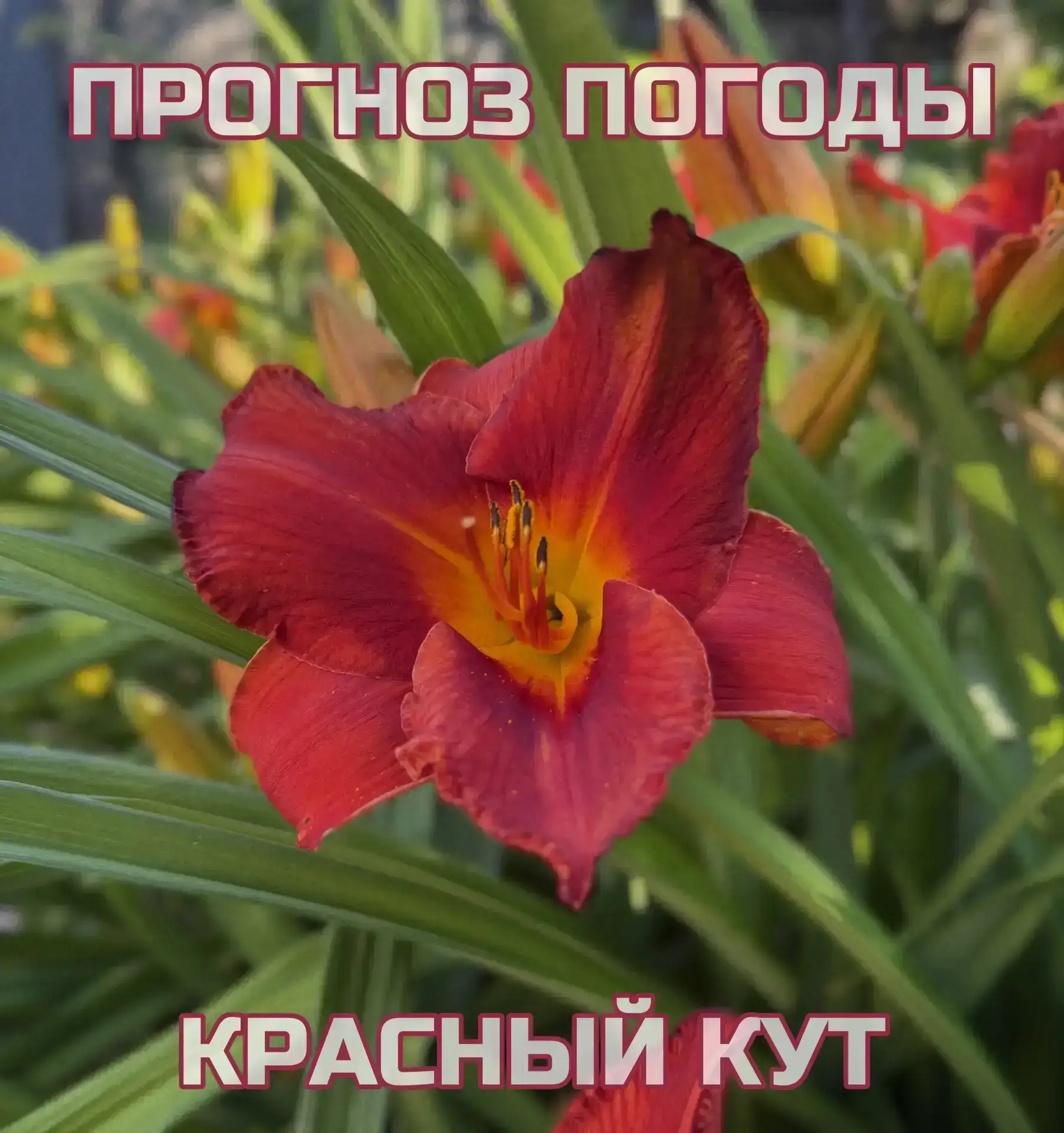 Прогноз погоды🌤️

Опасные метеорологические явления (оранжевый уровень опасности): по 10.08.2026 ме