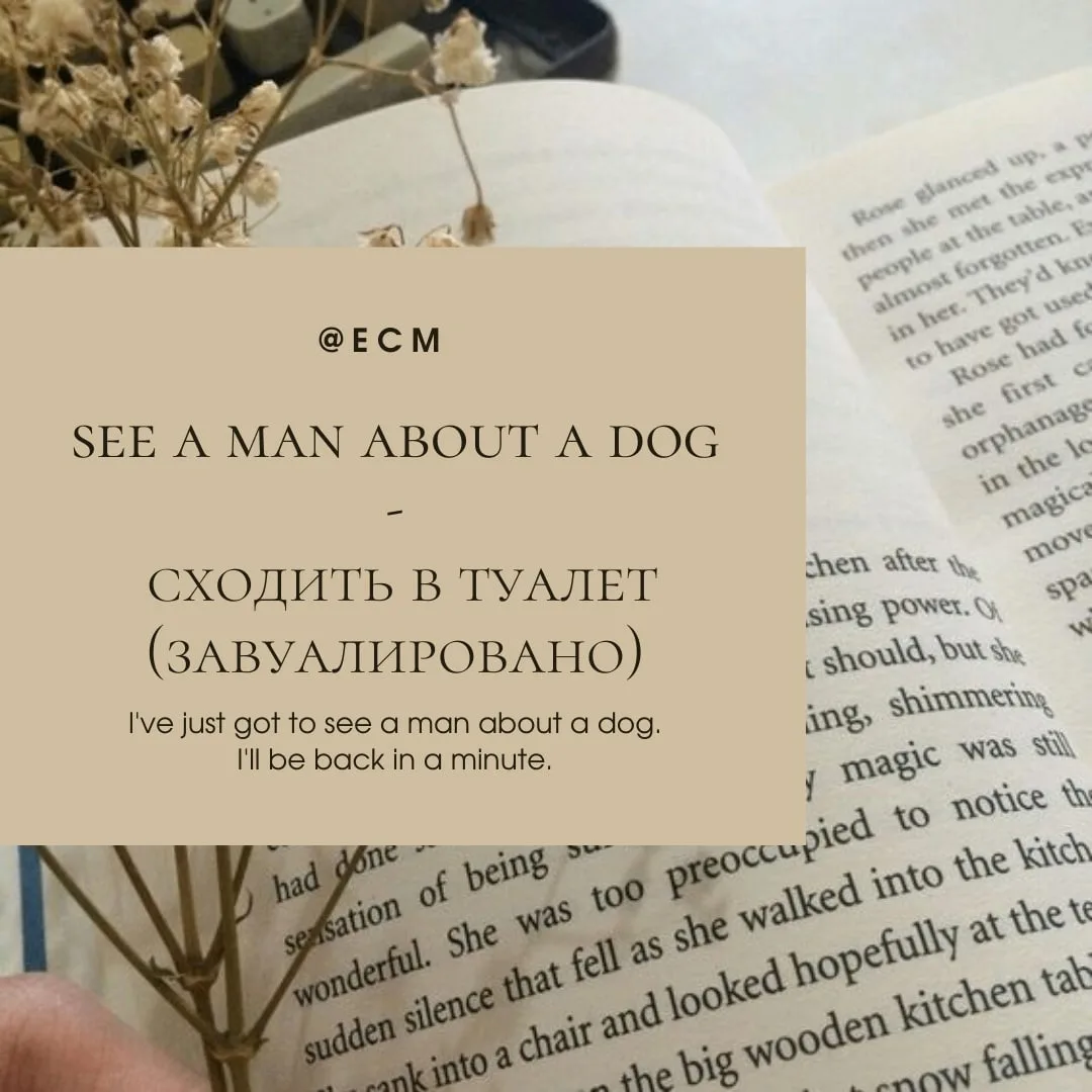 💫Припудрить носик💫