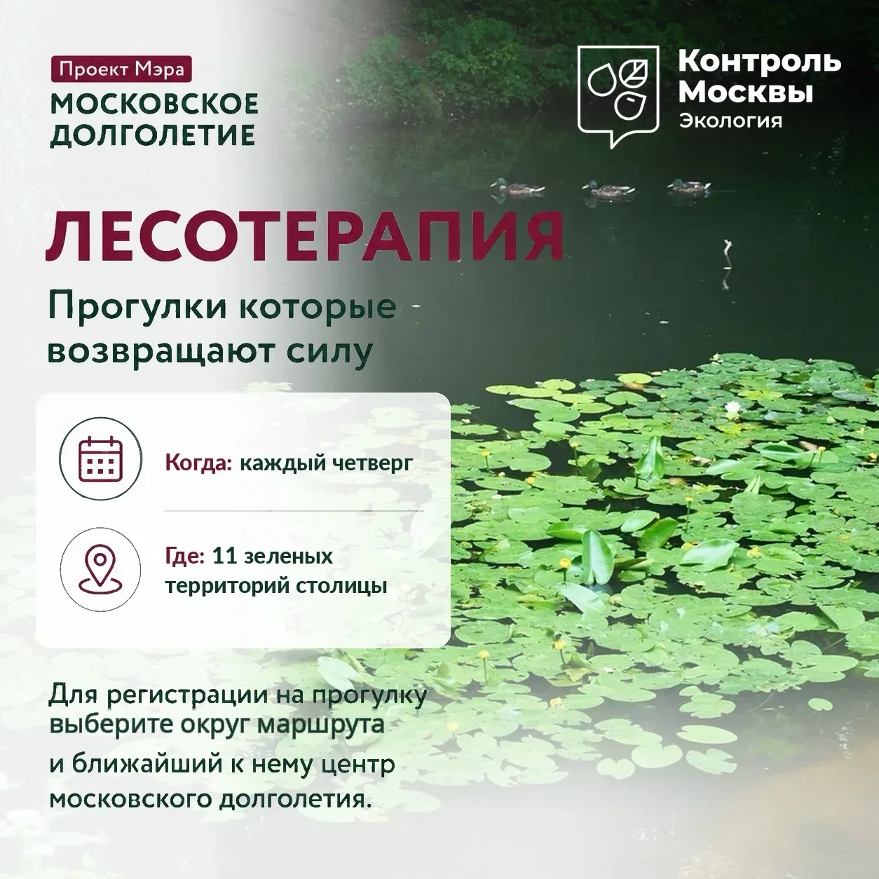 Лето🌺☀️ зовёт — и мы открываем август по-настоящему тёплым событием🔥 пешая прогулка в...