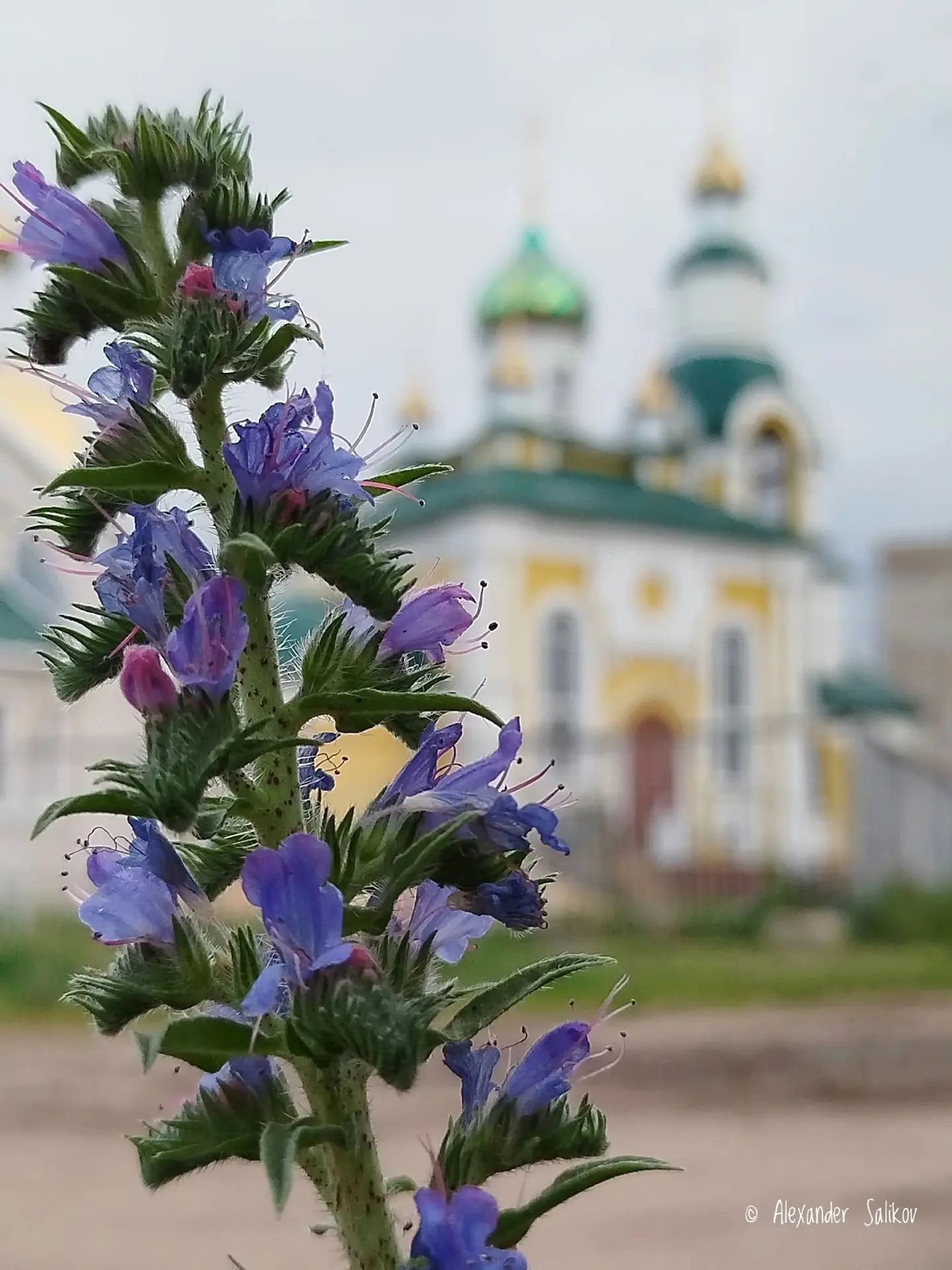 Видеть красоту дано не каждому, а кому дано, с удовольствием делится с окружающими - спасибо таким ж