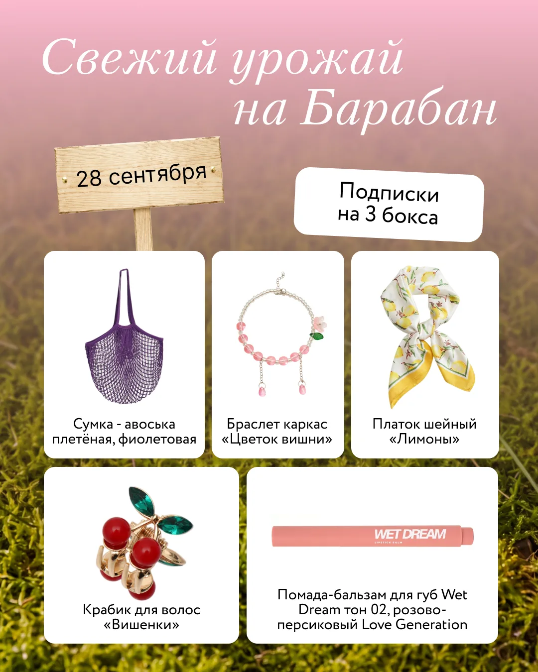 Что сегодня на грядке — 28 сентября? 🧑‍🌾