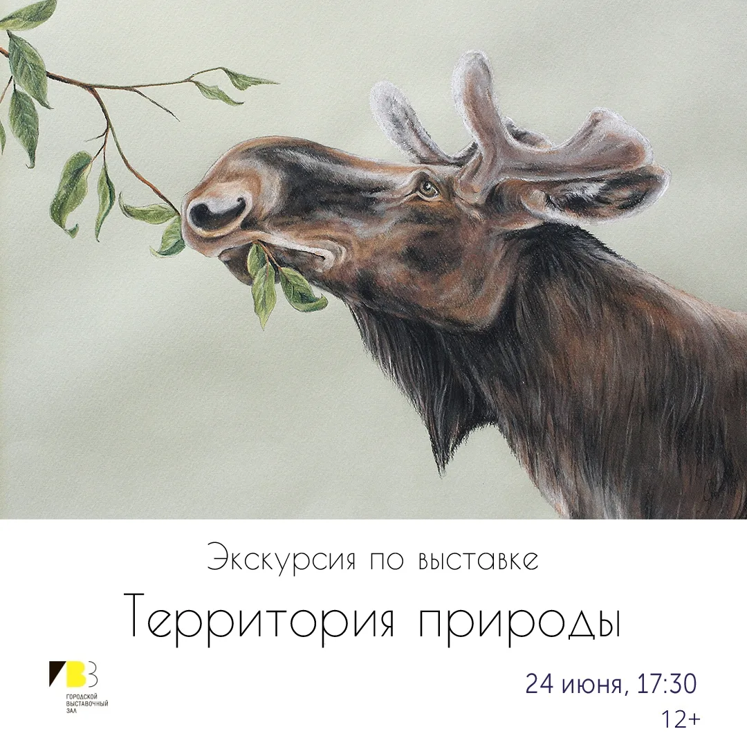 Жителей Петрозаводска приглашают на экскурсию по выставке «Территория природы»

Билеты можно приобре