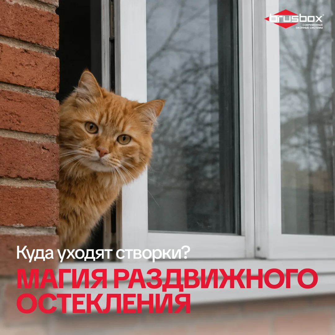 Дорогие партнеры, приветствуем!