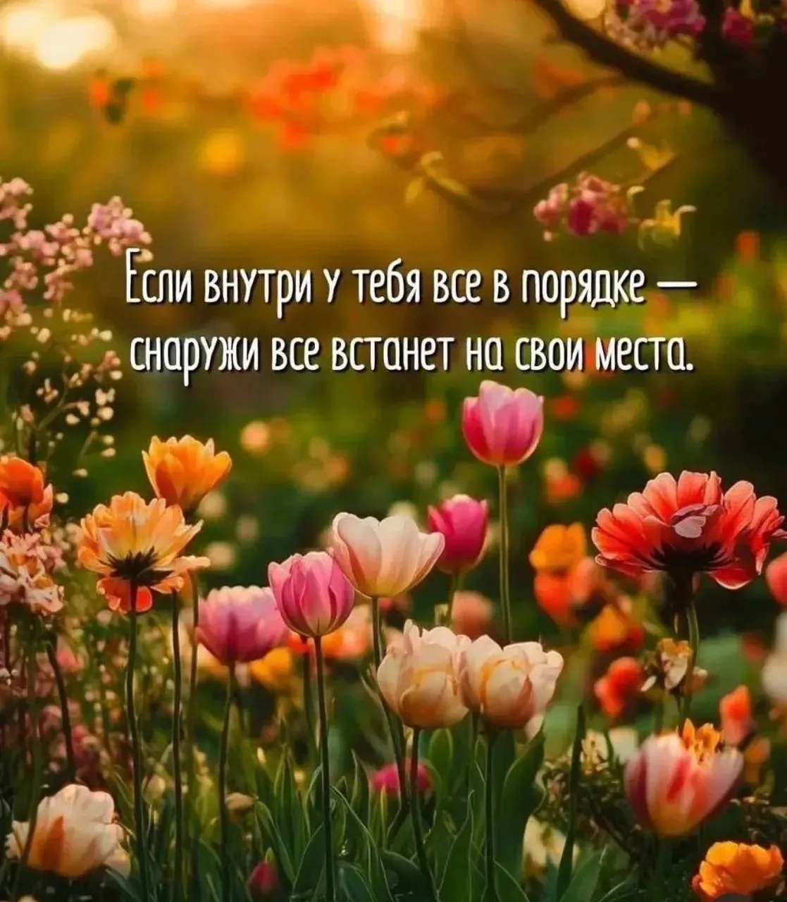 Душа - подобие неба, потому что в ней обитает Господь. 
 
Свт. Василий Великий.

Спасибо Господу за 