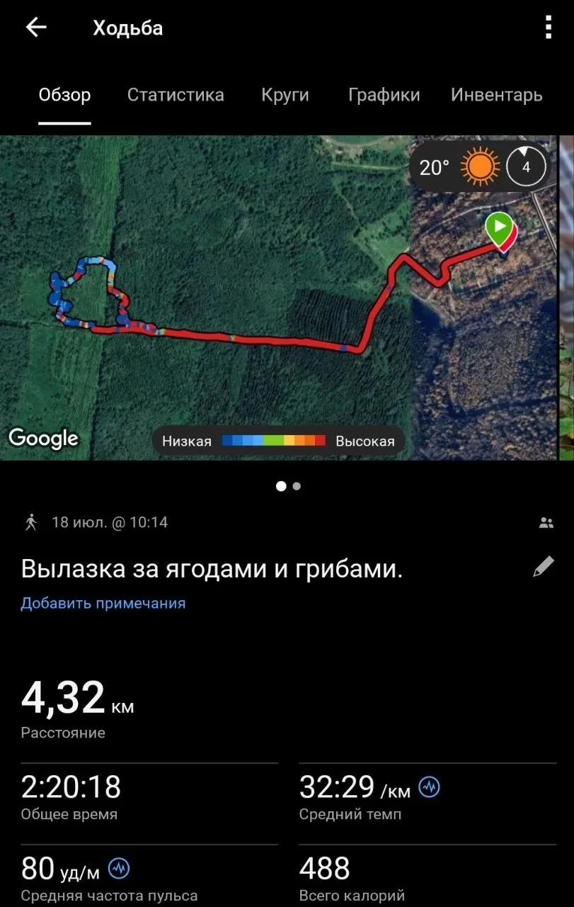 🍄Дары леса - собираем их с ⌚Garmin.