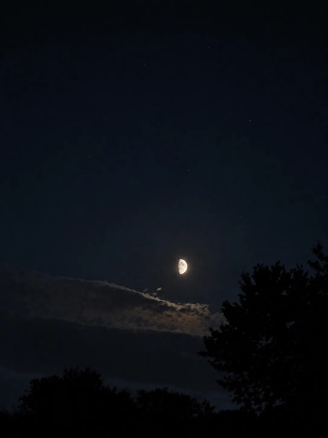 ✨🌓