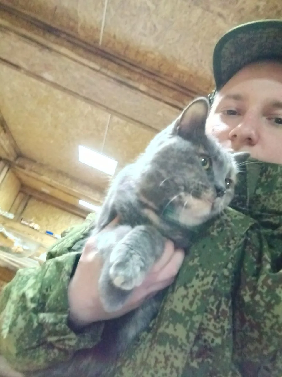 Хочу сегодня рассказать о многодетной семье Старковых из села Байны, чей сын Никита уже...
