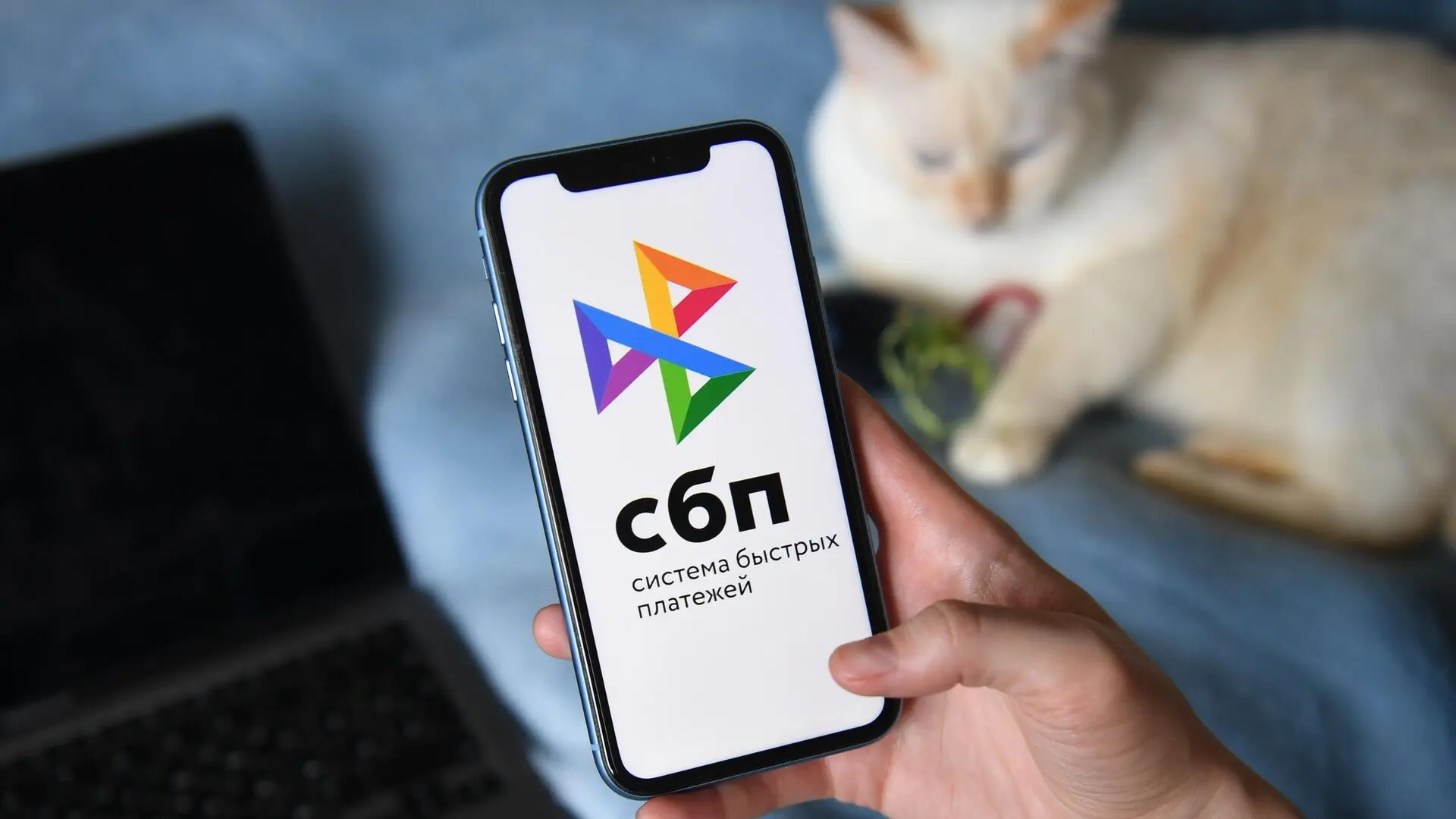 ИНН при переводах через СБП