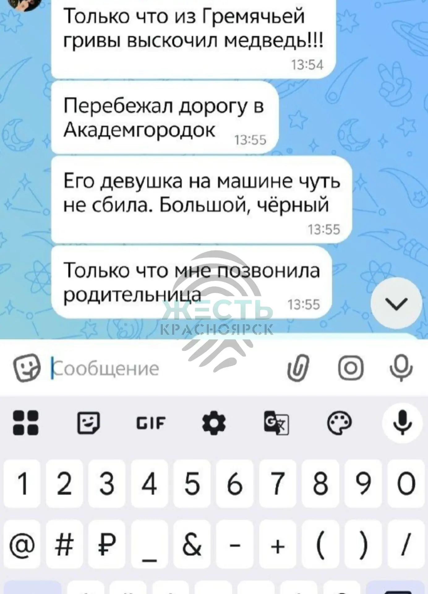 ❗️Медведя заметили в районе Академгородка