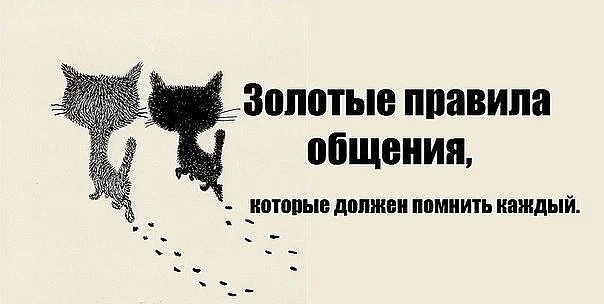 📌Золотые правила общения в школьных чатах