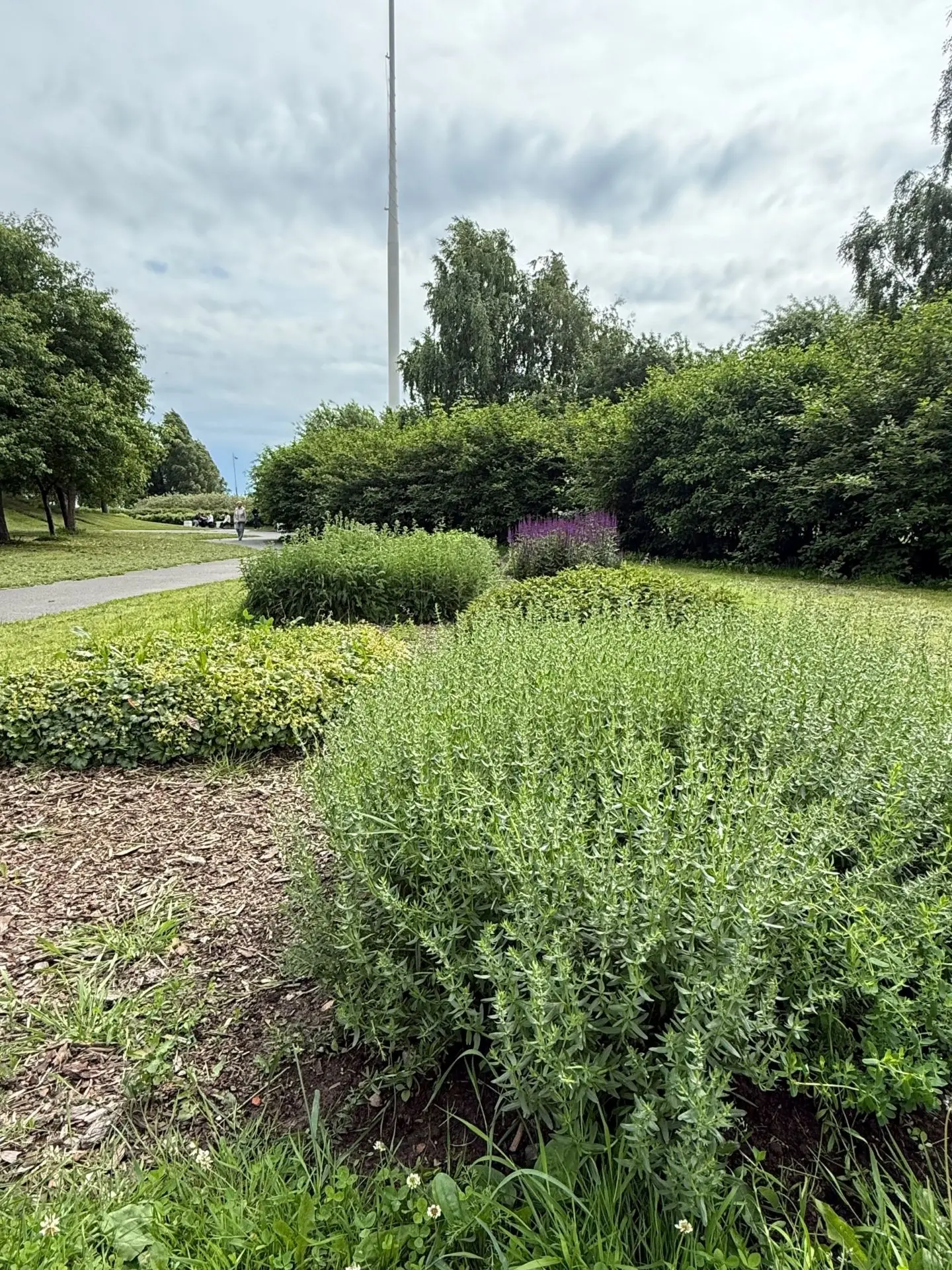 «Урожай будет – интеллектуальный», – сообщают сотрудники парка 300-летия Санкт-Петербур...