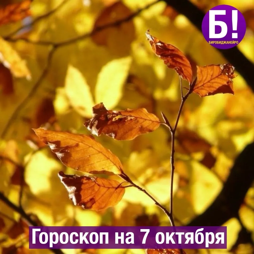 ♈ Овен