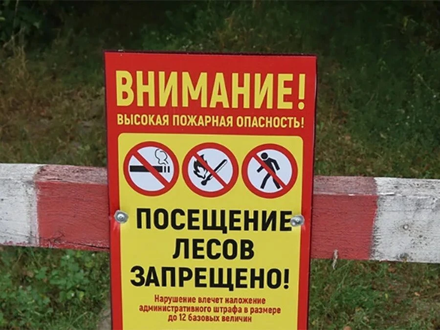 БУДЬТЕ В КУРСЕ 

По Нижегородской обл объявлена высокая (4 класс) пожароопасность лесов и торфяников