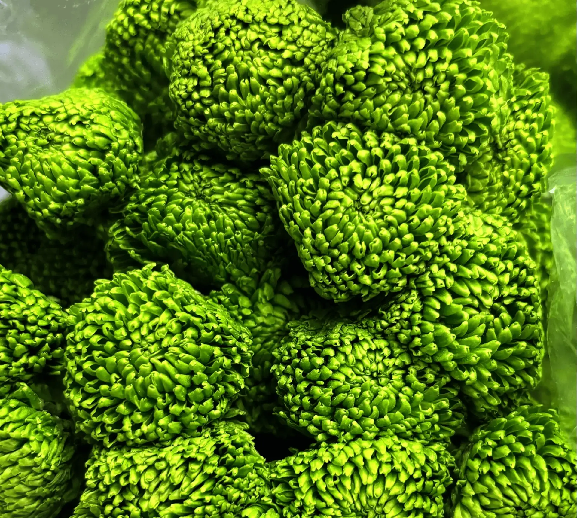 Добрый день💚