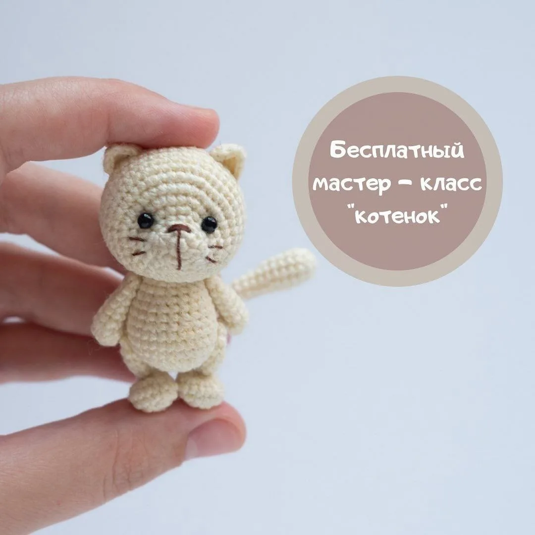 Котик