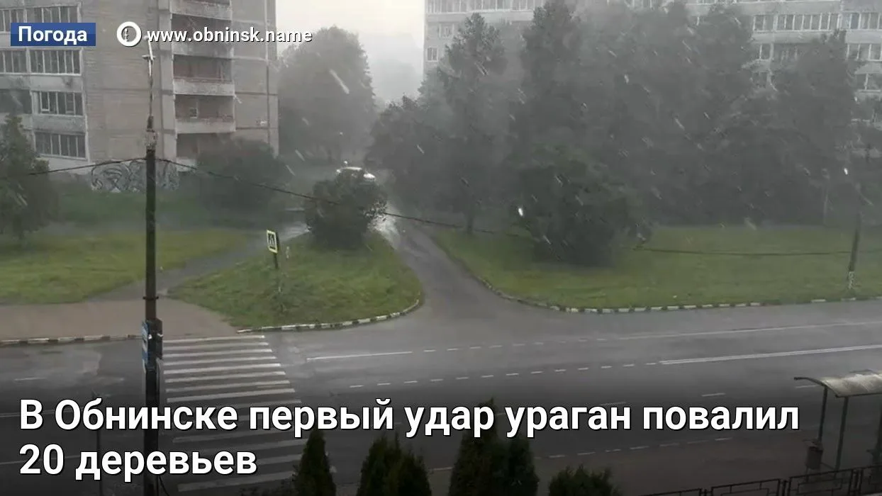 В Обнинске первый удар ураган повалил 20 деревьев

Некоторые упали на дороги и автомобили. Сегодня, 