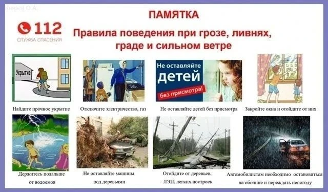 💨🌧 Сильный ветер и дождь — лучше сегодня остаться дома.