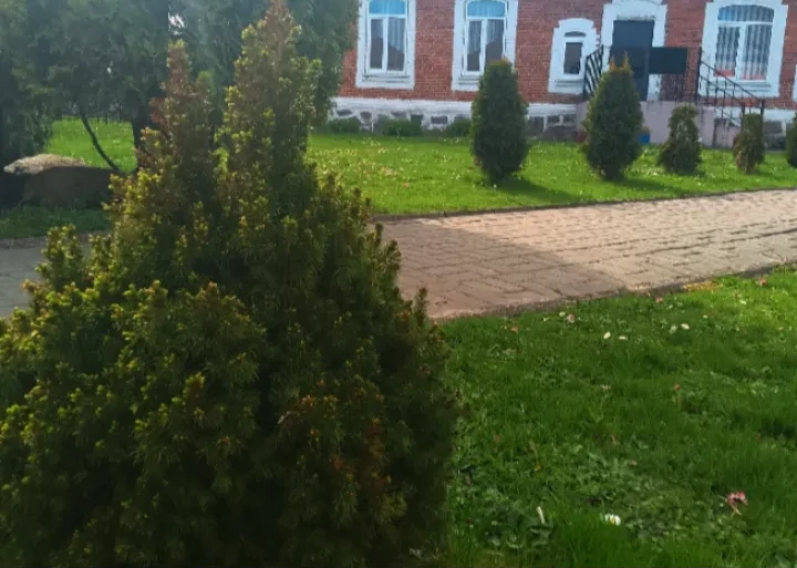 Фотозарисовки от участниц медиацентра "Ящерка-медиа" на тему "Школьная весна" 🌸