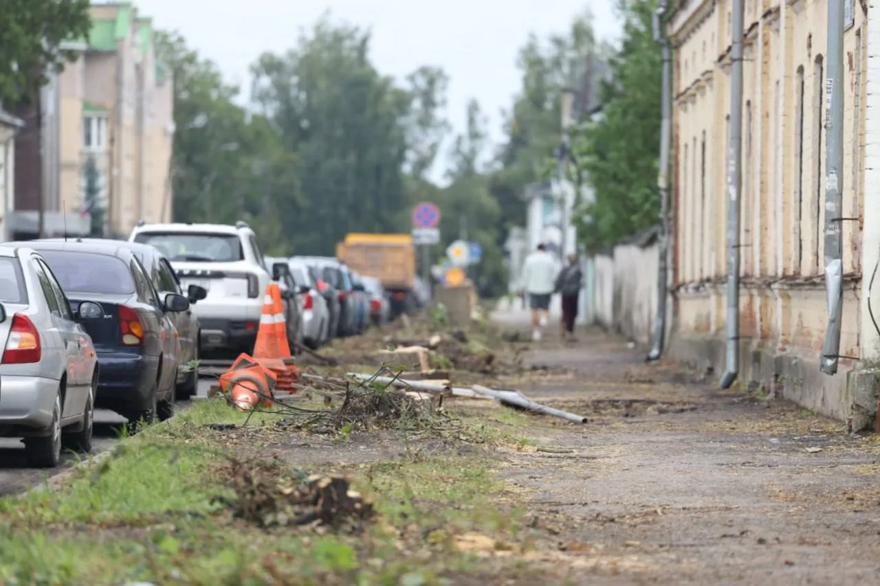 🌳 Деревья на Некрасова в Пскове высадят весной