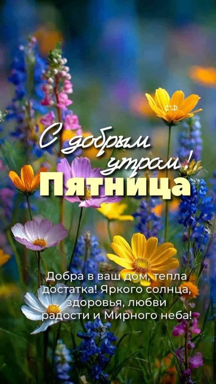 Делитесь открыткой с друзьями и поддерживайте реакцией