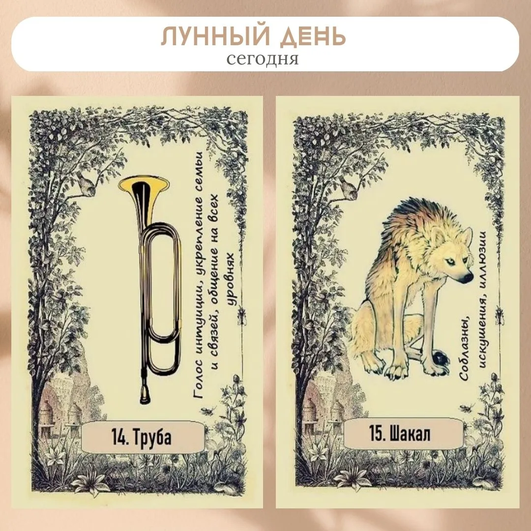 Сегодня 28 июля 2026, 14-15 лунный день.

🌙 Растущая луна. Луна в знаке Козерог. Очень хорошо на эн