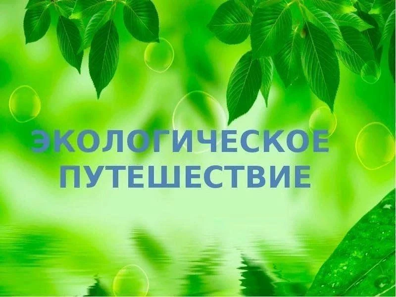 Путешествие в Экоград
Увлекательное путешествие в Экоград совершили юные читатели Сулакского филиала