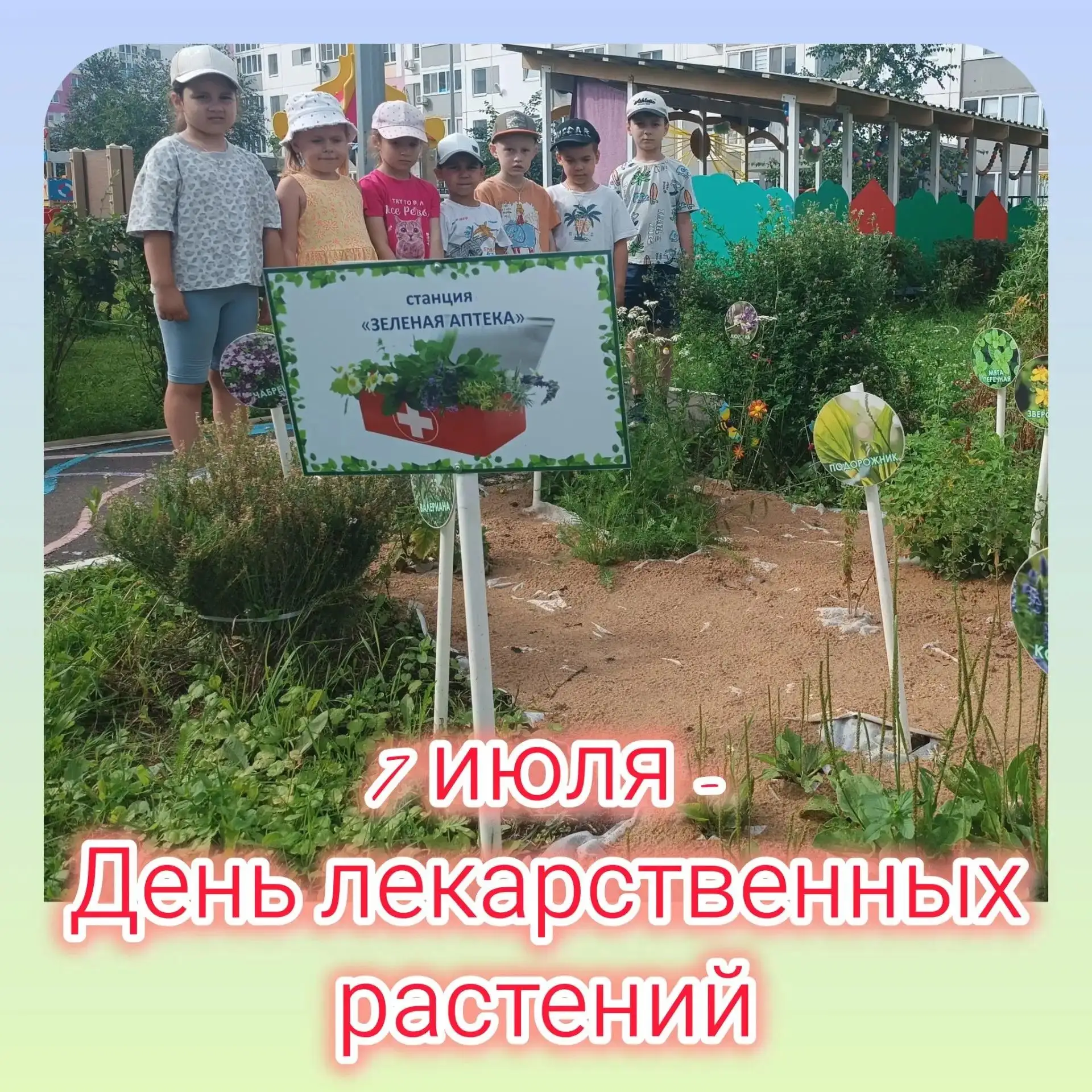 7 июля - день лекарственных растения. Сегодня дети из группы "Лучики" познакомились с р...