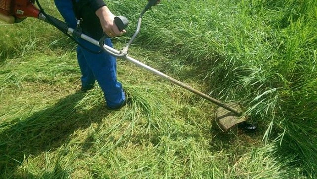 В целях благоустройства нашего поселка просим вас скосить траву на придомовой территории возле много