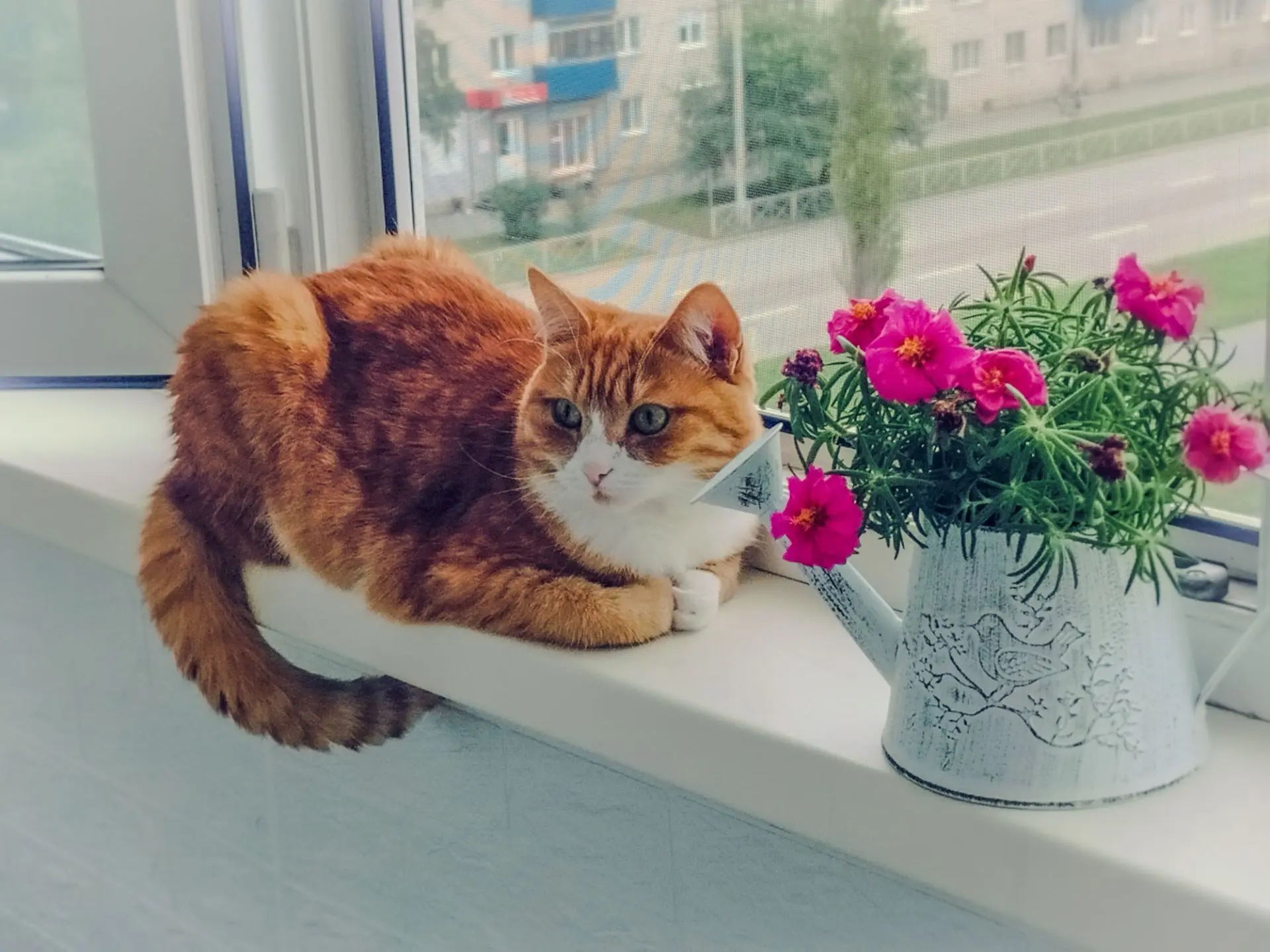Мусильда нежится❤