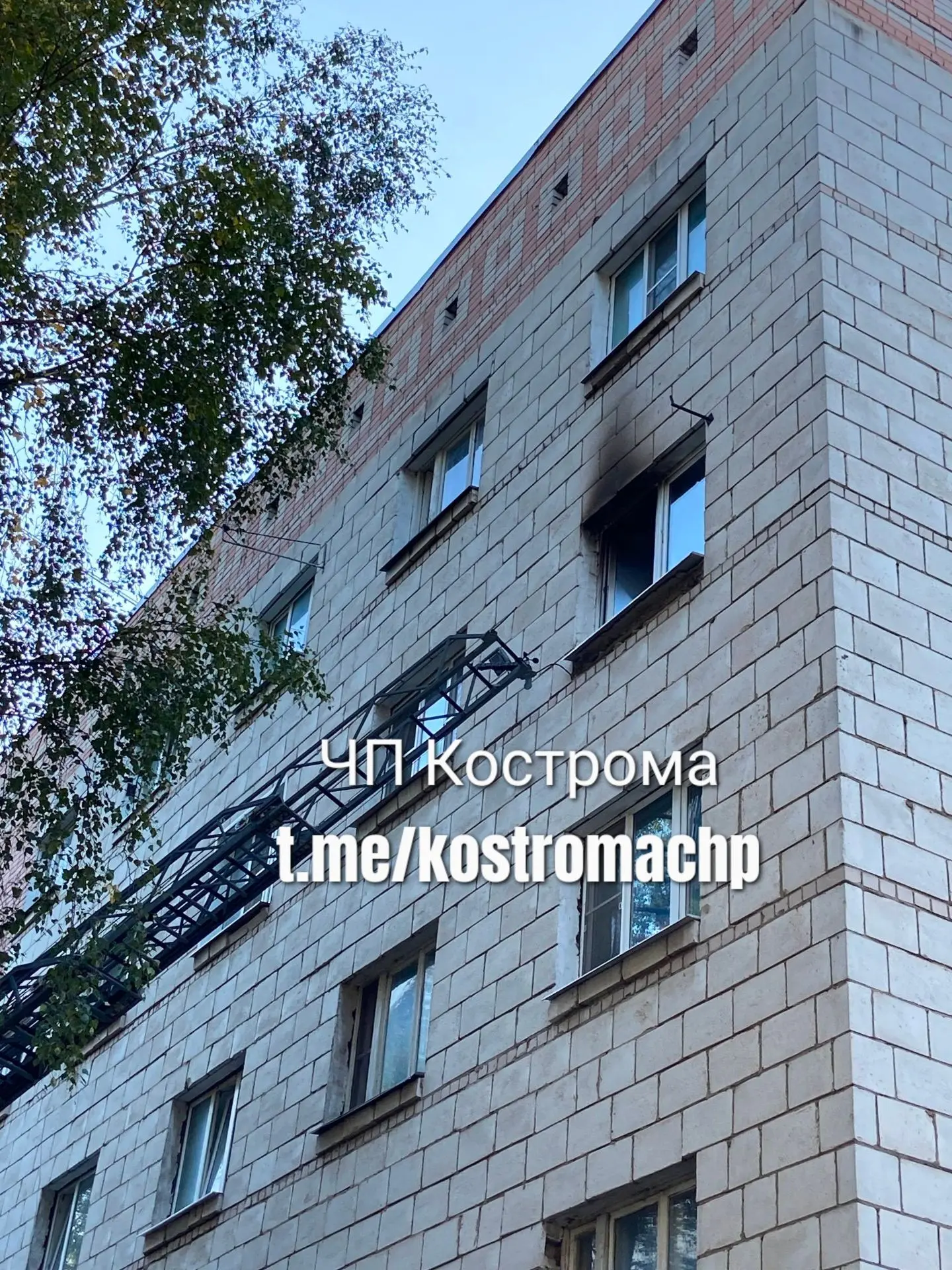 Паново 34 пожар в комнате общежития