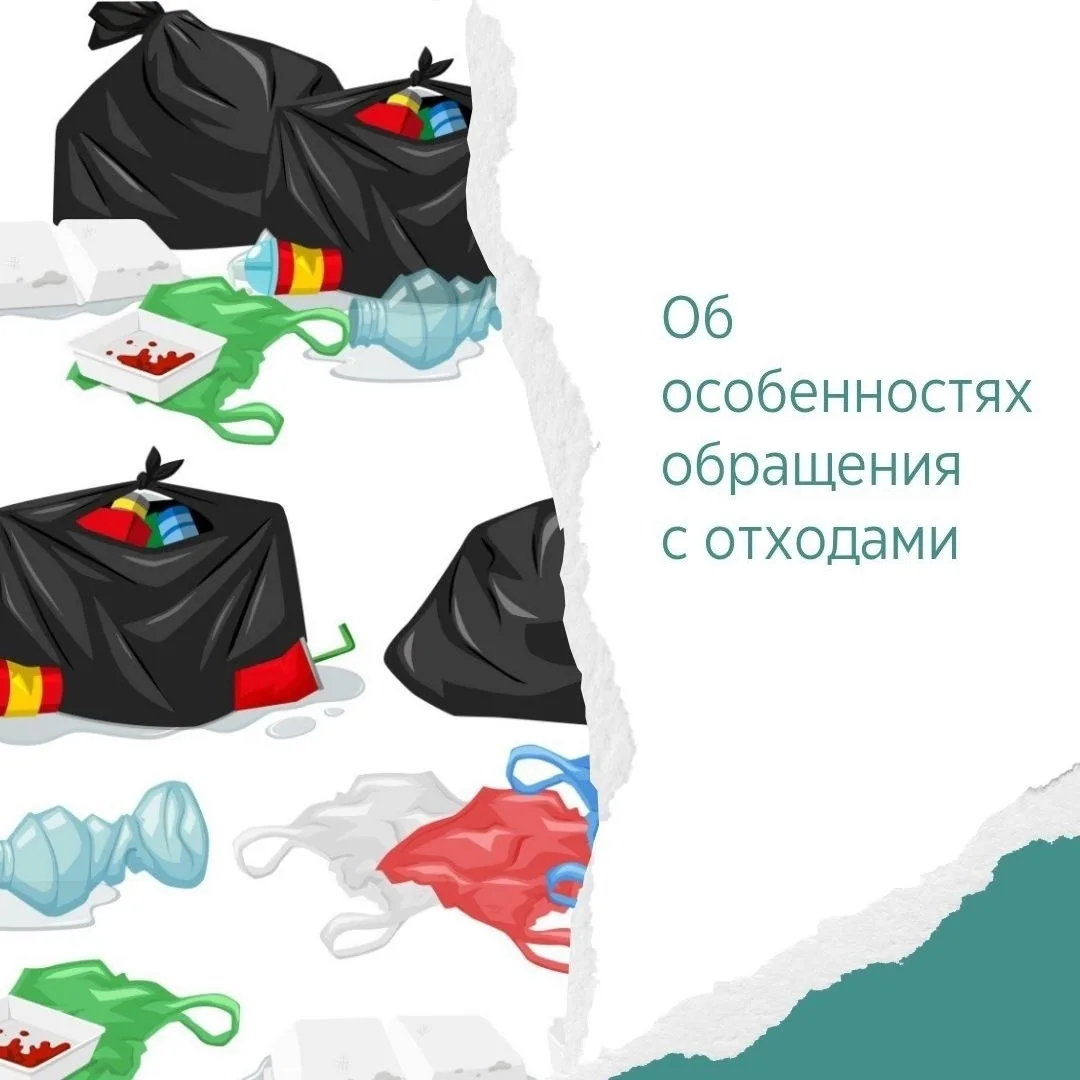 Как правильно выбрасывать мусор: разбираемся с ТКО, КГО и строительными отходами