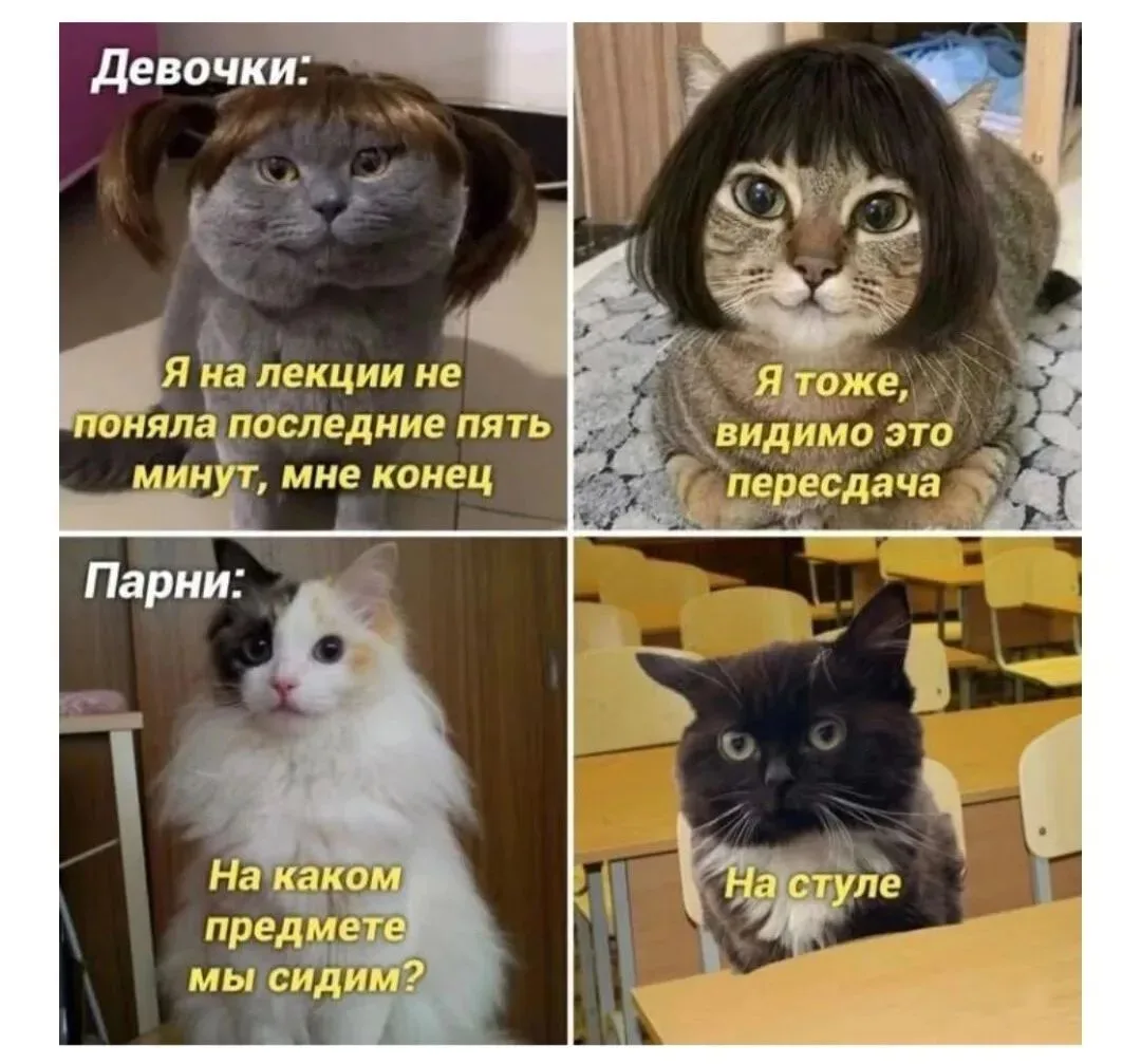 🤣👆

#мем
#юмор