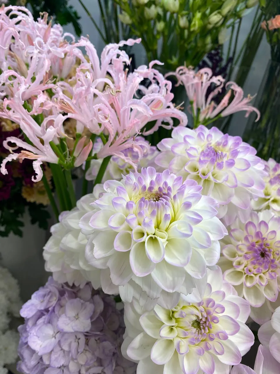 Новая поставка на наших витринах ❤🌸💐