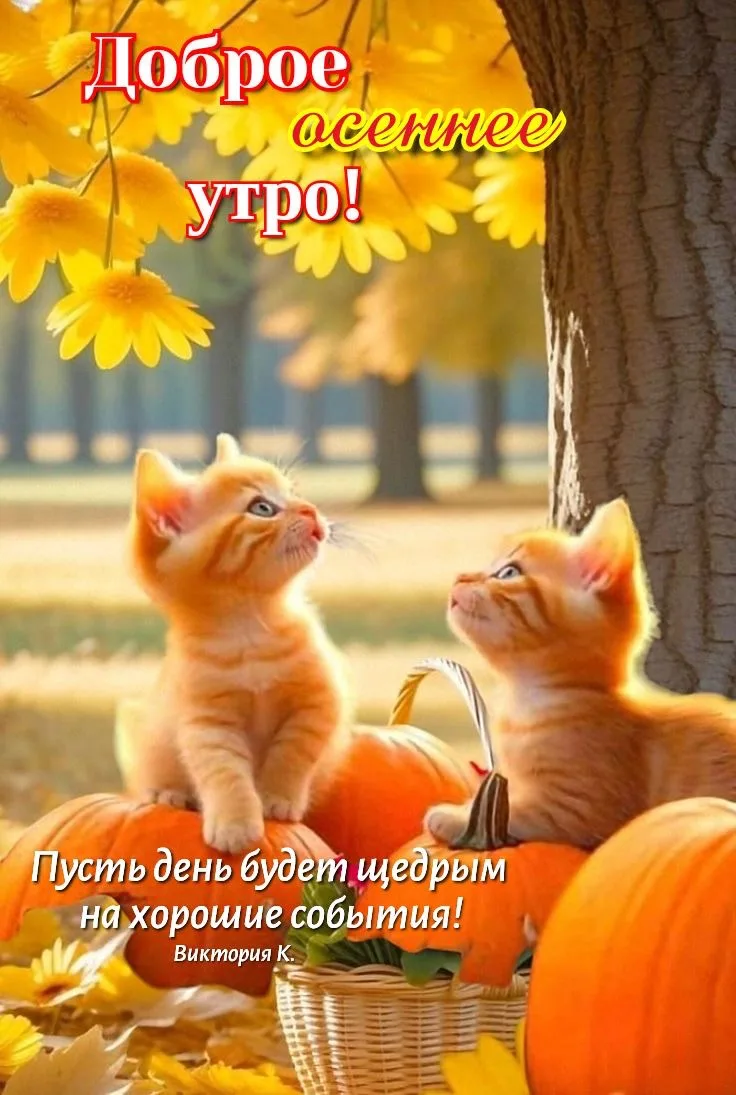 КРАСИВЫЕ ОТКРЫТКИ ТУТ💖