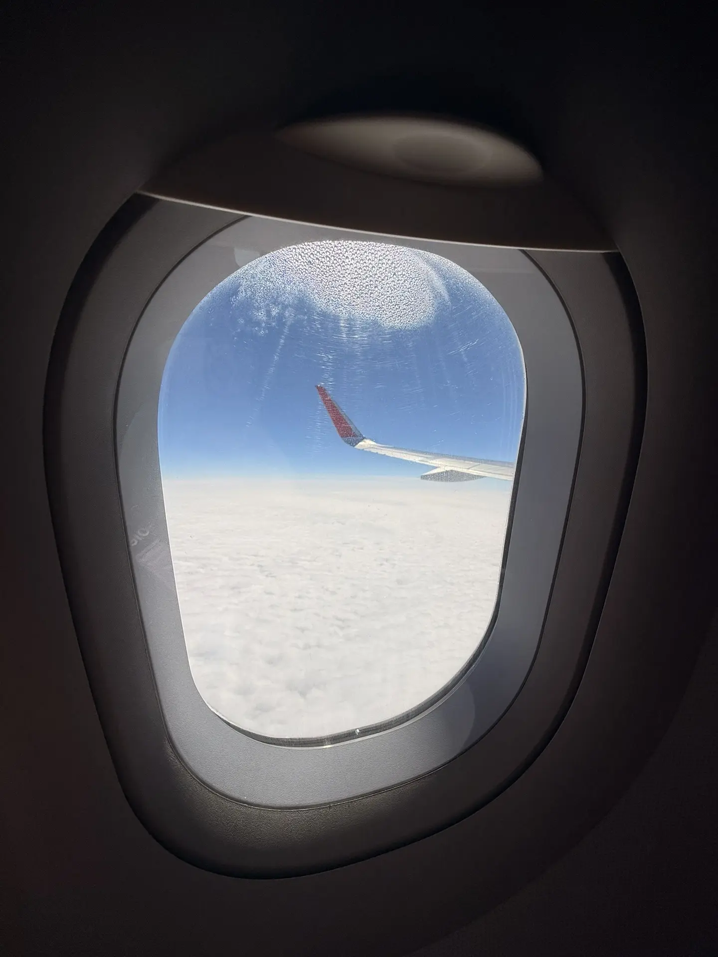 Любимый вид из окна! ✈️