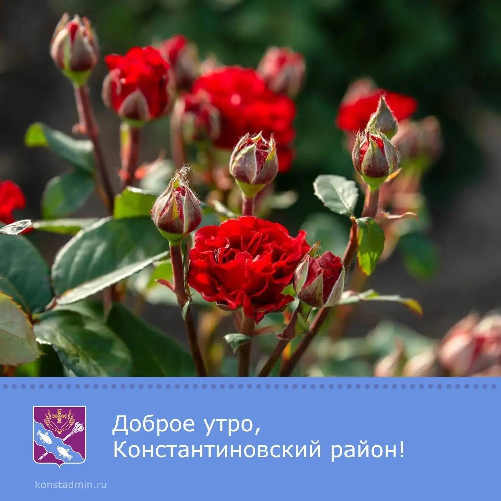 Доброе утро, уважаемые жители Константиновского района!✨

Пусть начало нового дня станет успешным и 