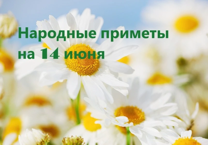 Устинов День (Брусничные губы). В этот день почитают святого Иустина Философа и других святых с анал
