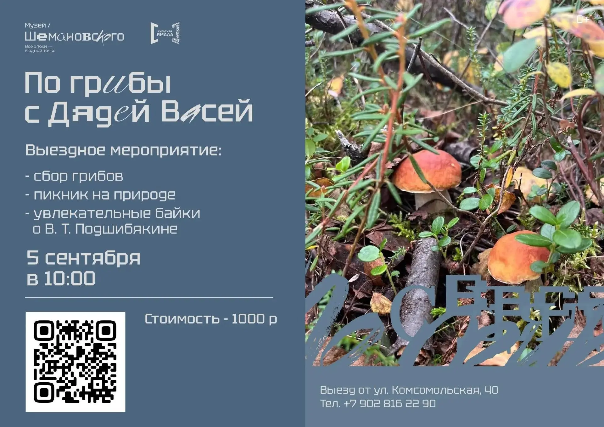 🍂 Осенний лес и истории, которые согревают