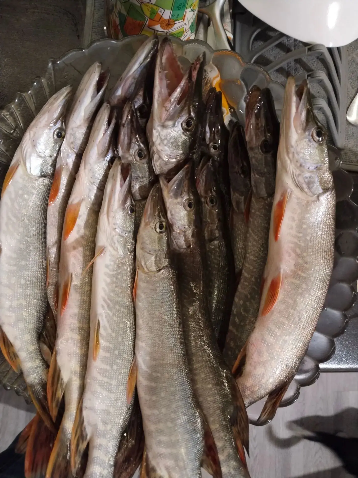 Ноовомский затон , за весь день с лодки 🎣