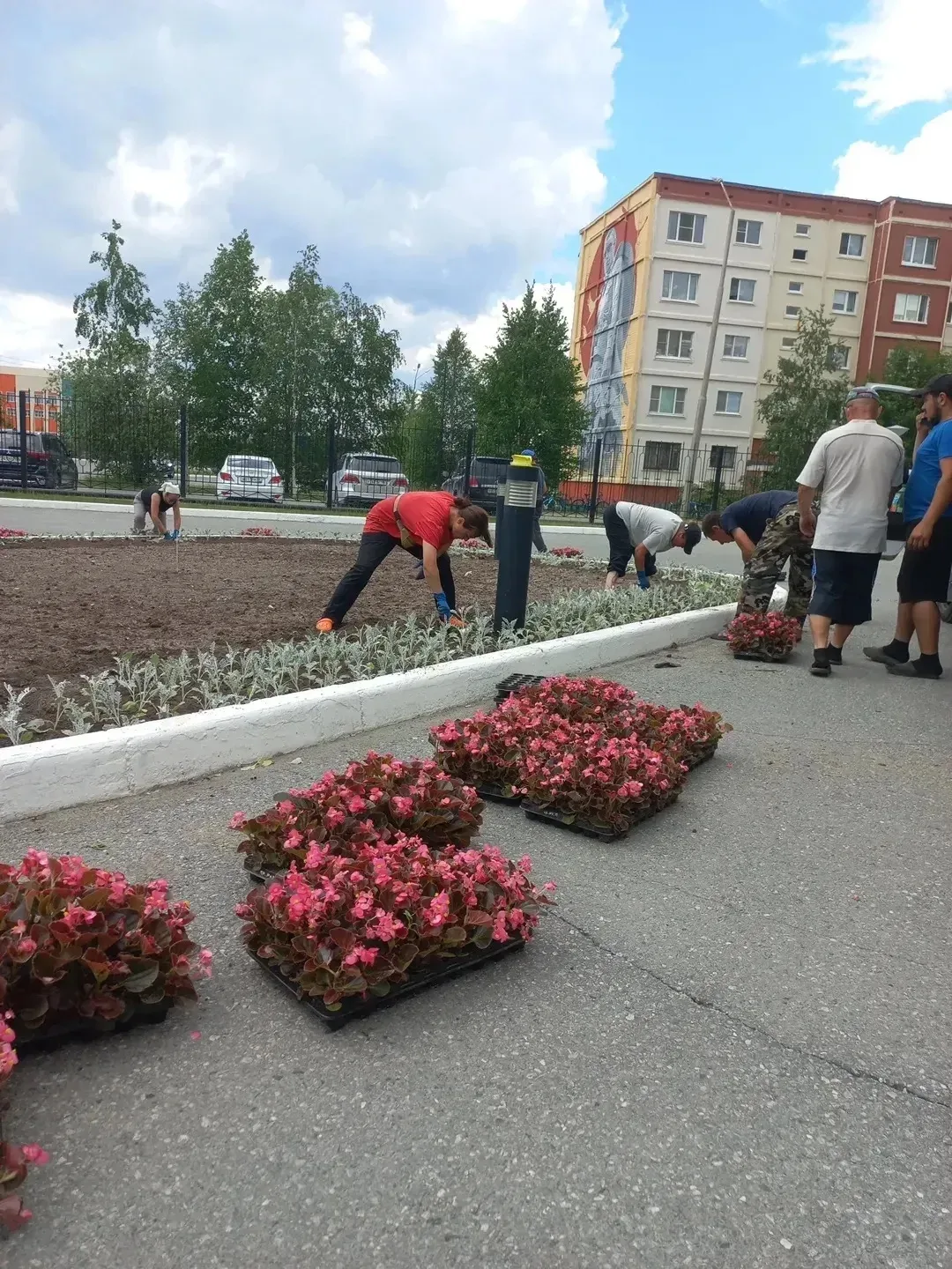 На клумбах Когалыма - лето в деле 🌸🌼🌺 

Яркие цветы высаживают активно, быстро, со знанием дела. 