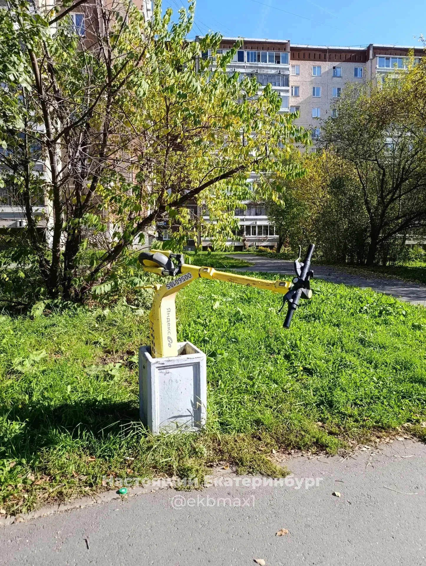 На остановке "Сыромолотова" было замечено это 🤯