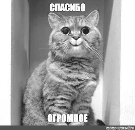 Спасибо сотрудникам МЧС и пожарным, которые тушили огонь в доме на Мира 17. Благодаря и...