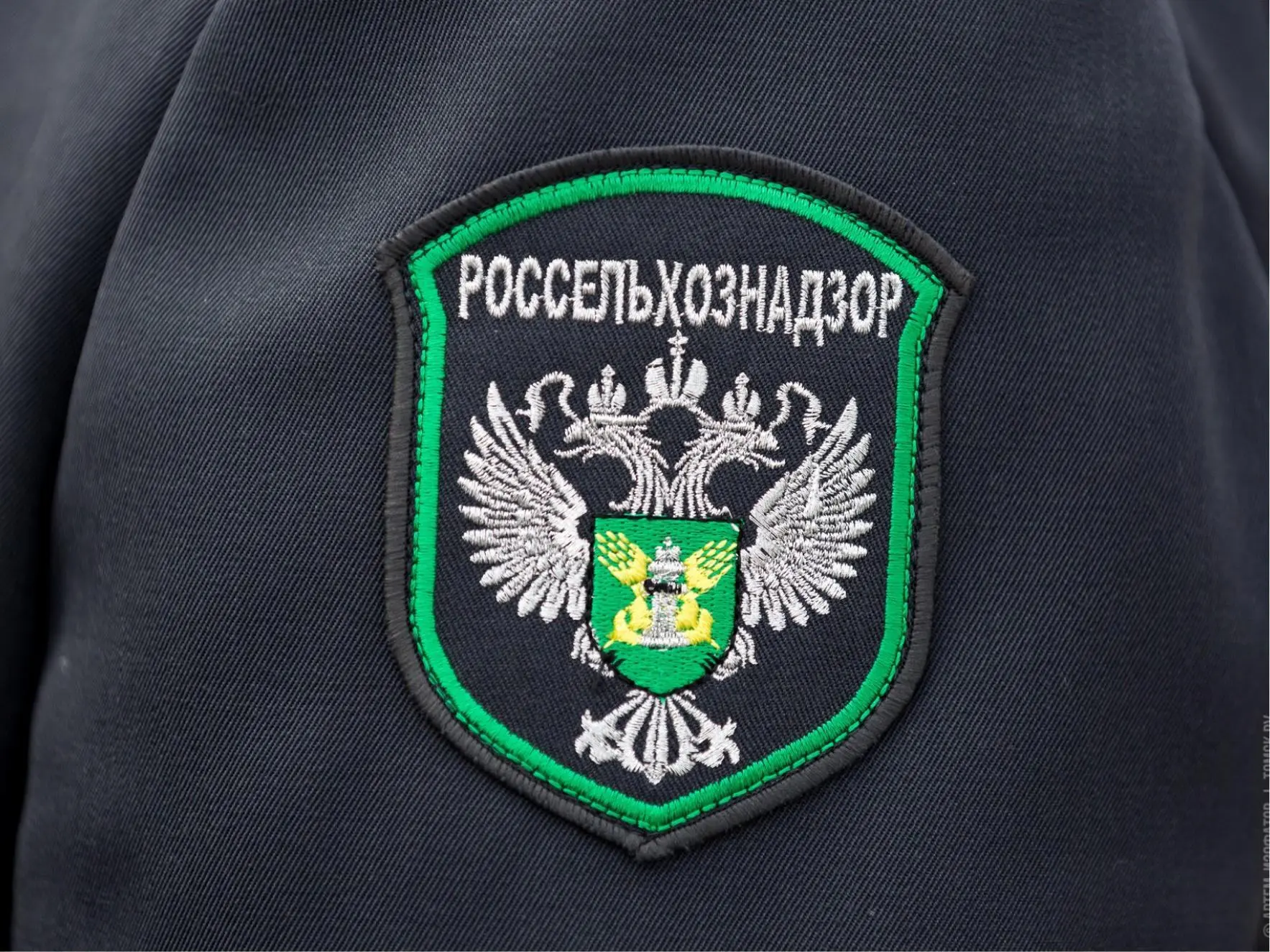Россельхознадзор выдал 48 предостережений за нарушения в сфере карантина растений и без...