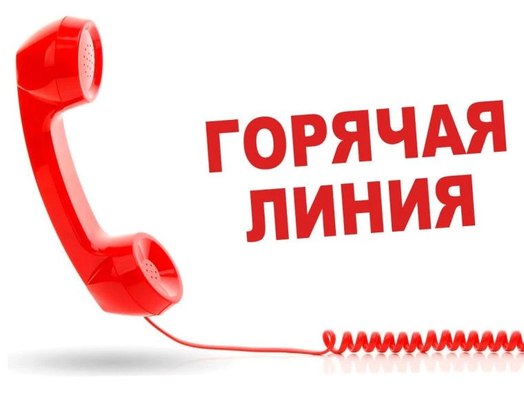 📞 СЕГОДНЯ ❗️«Г«ГОРЯЧАЯ ЛИНИЯ» ПО АДРЕСНОЙ СОЦИАЛЬНОЙ ПОМОЩИ В ХАБАРОВСКЕ