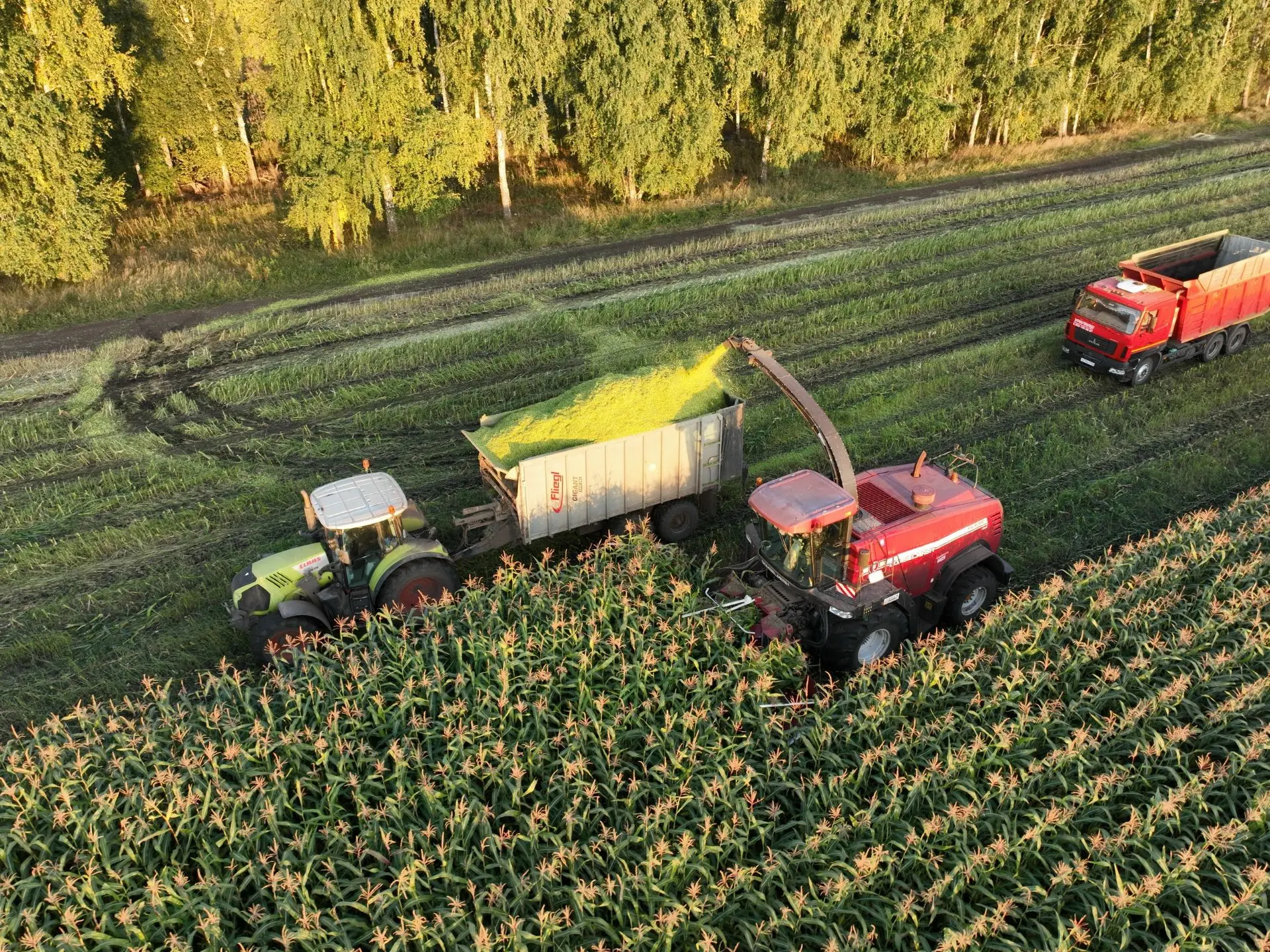 🚜🌱В 22 районах Башкортостана закладывают силос