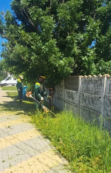 Покос травы летом

Летом покос травы выходит на новый уровень — работы ведутся сразу несколькими бри